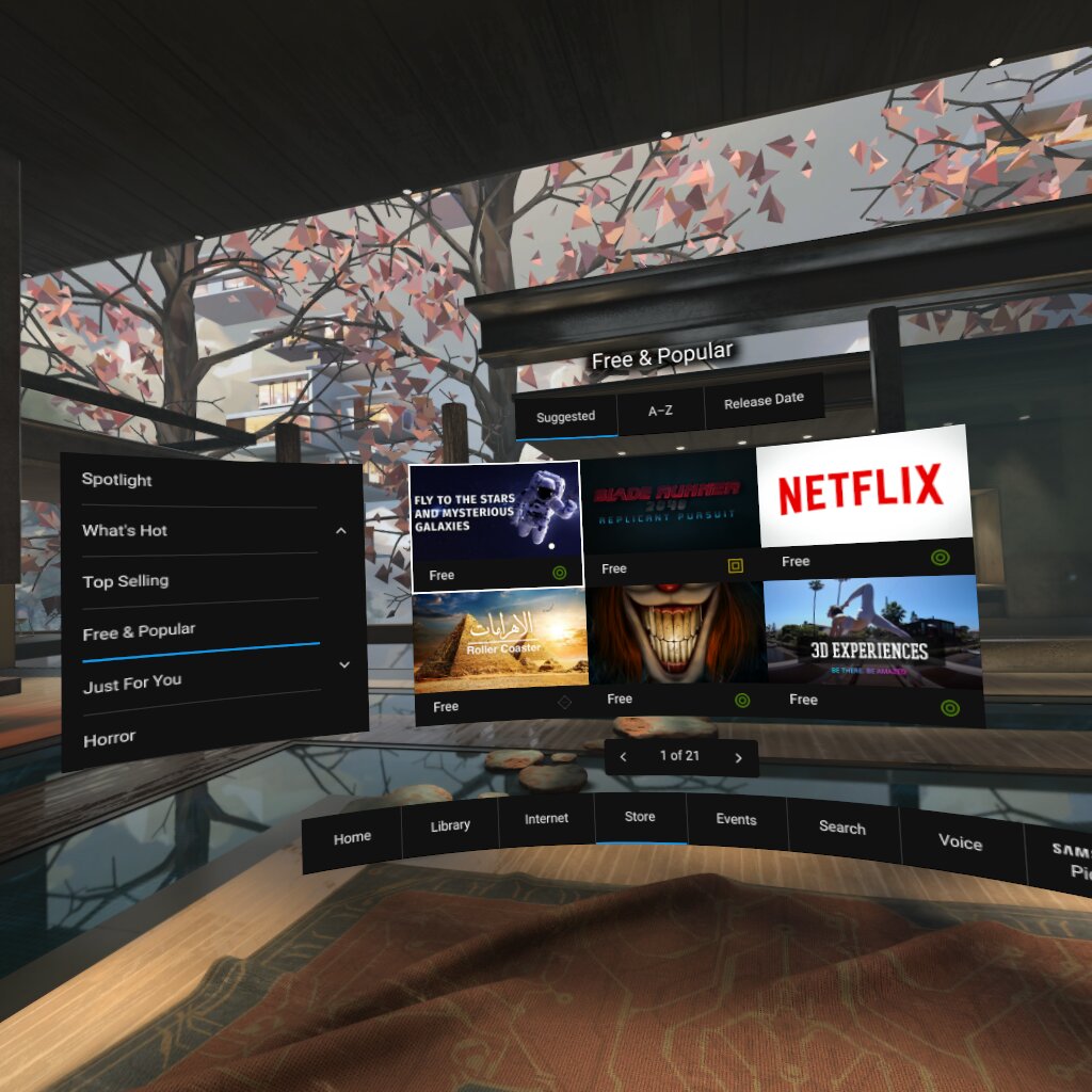 Oculus Gear VR Store