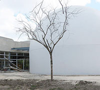 Image of Planetario de Cozumel