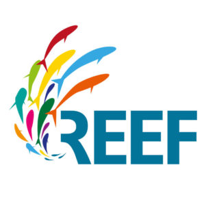 Reef Distribution