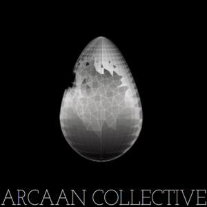 img logo fulldome organization ARCAAN Collective