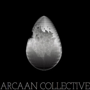 img logo fulldome organization ARCAAN Collective