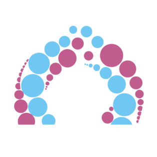 Dome Club Ltd img logo fulldome organization Dome Club Ltd