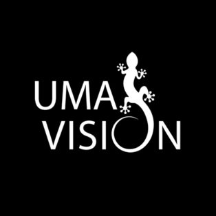 UMA Vision