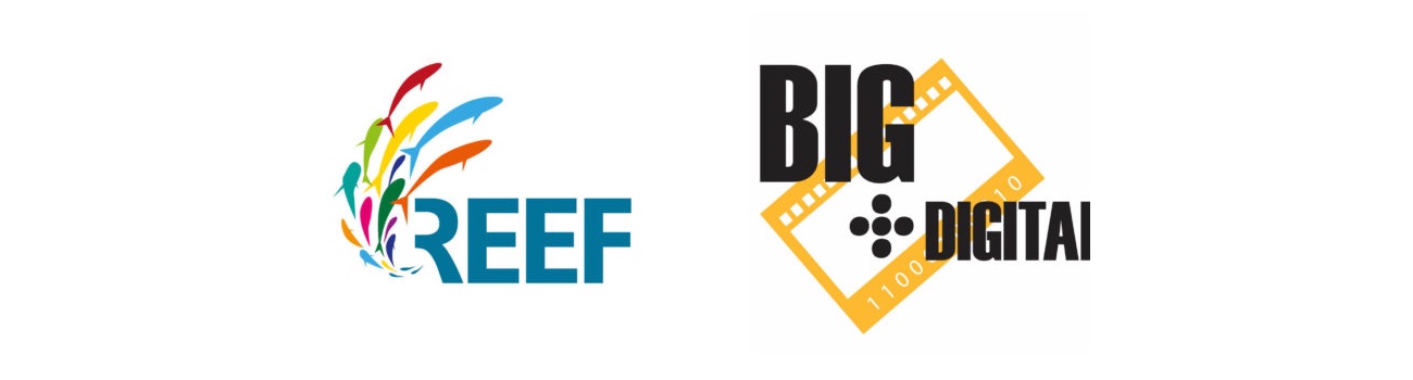 img news fulldome reef-distribution-acquires-big-digital-llc-content-rights