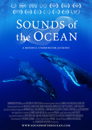 img news fulldome Sounds of the Ocean: A Mindful Underwater Journey