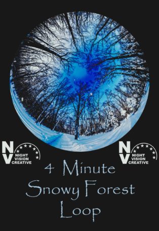 img poster fulldome show 4-minute-snowy-forest-loop