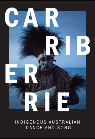 Carriberrie img poster fulldome show carriberrie
