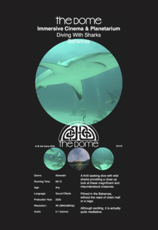 Diving With Sharks Bahamas img poster fulldome show diving-with-sharks-bahamas