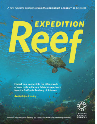 Expedition Reef