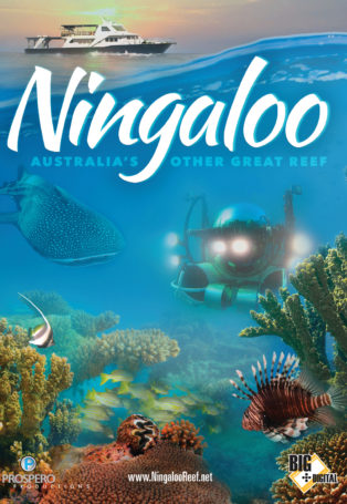 Ningaloo Reef; Australia’s Other Great Reef