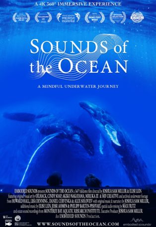 img poster fulldome show Sounds of the Ocean