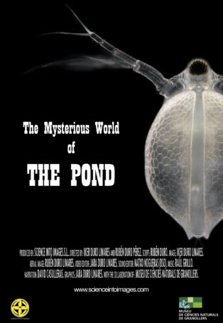 The Mysterious World of… The Pond img poster fulldome show The Mysterious World of... The Pond