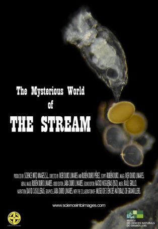 img poster fulldome show The Mysterious World of... The Stream