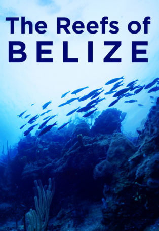 img poster fulldome show The Reefs of Belize