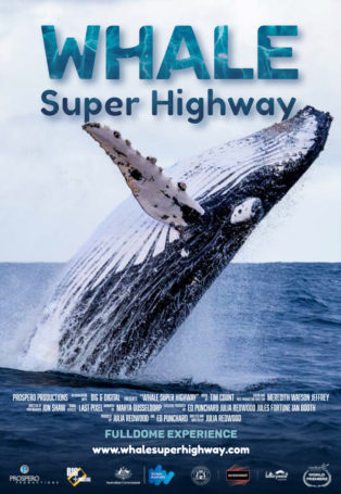 img poster fulldome show Whale Super Highway