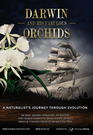 Darwin and his fabulous Orchids