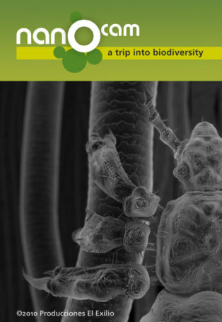 NANOCAM, a trip into biodiversity