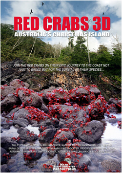 Red Crabs