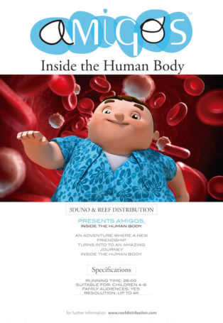 Amigos – Inside the Human Body