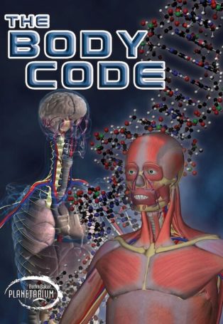 The Body Code
