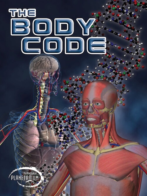 the body code