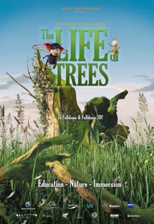 The Life of Trees